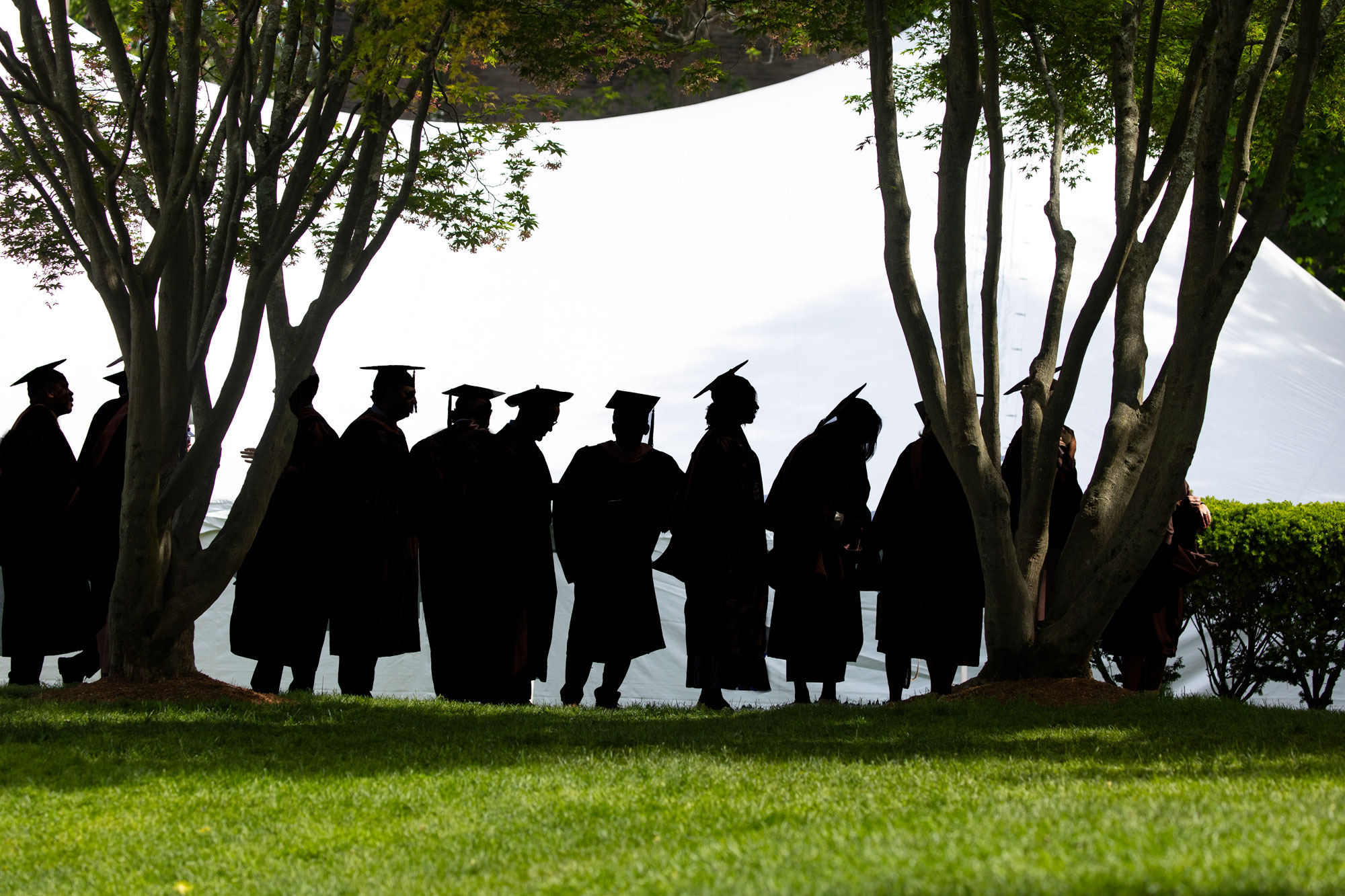 Students at Brown University