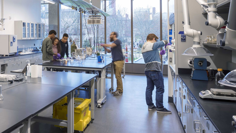 Students in a science lab applying and sharing their knowledge