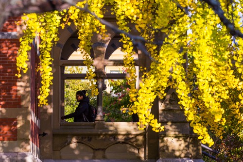 A glance through a window at a Brown University student walking 